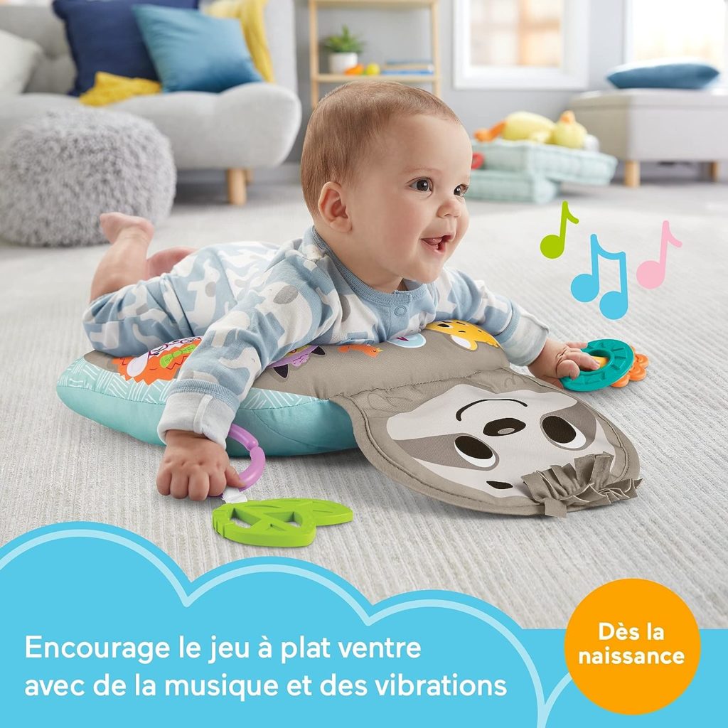 Fisher-Price Mon Coussin d'Éveil Musical Paresseux