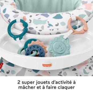 Fisher-Price Siège de jeu avec plateau 