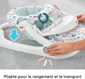 Fisher-Price Siège de jeu avec plateau 